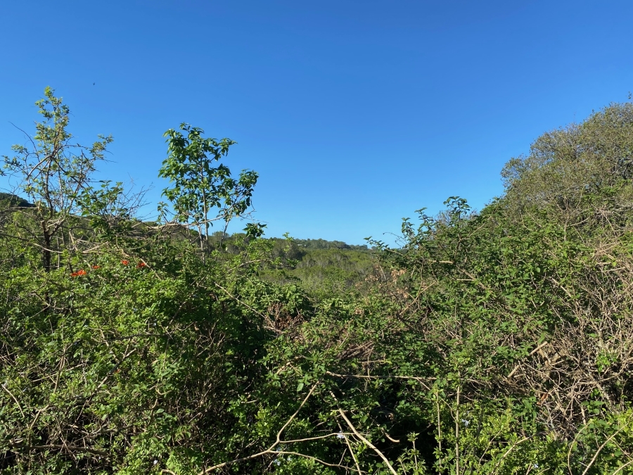 0 Bedroom Property for Sale in Bathurst Eastern Cape